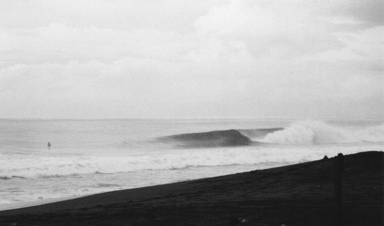 wave